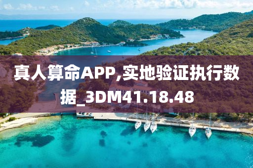 真人算命APP,实地验证执行数据_3DM41.18.48