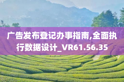 广告发布登记办事指南,全面执行数据设计_VR61.56.35