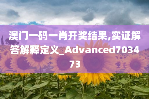 澳门一码一肖开奖结果,实证解答解释定义_Advanced703473