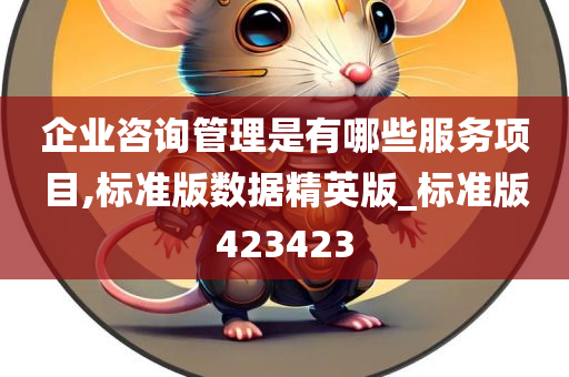 企业咨询管理是有哪些服务项目,标准版数据精英版_标准版423423