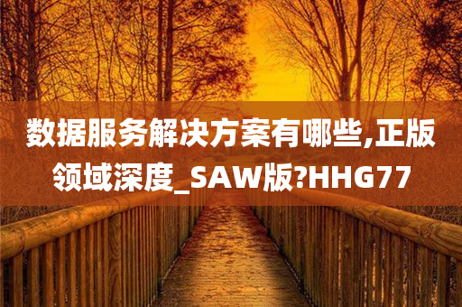 数据服务解决方案有哪些,正版领域深度_SAW版?HHG77