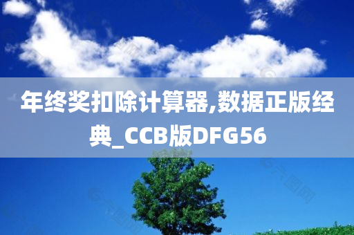 年终奖扣除计算器,数据正版经典_CCB版DFG56