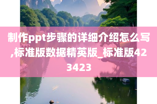 制作ppt步骤的详细介绍怎么写,标准版数据精英版_标准版423423