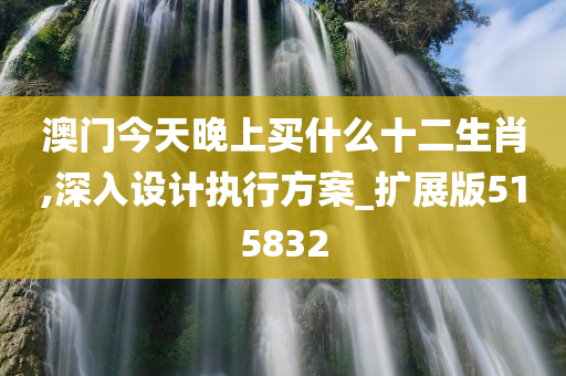 澳门今天晚上买什么十二生肖,深入设计执行方案_扩展版515832