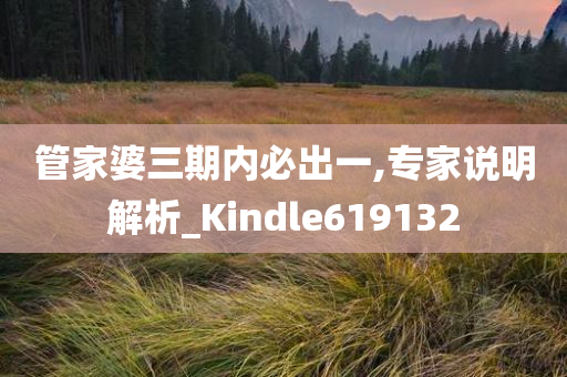 管家婆三期内必出一,专家说明解析_Kindle619132