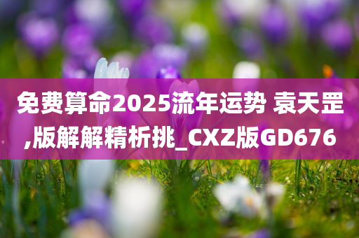 免费算命2025流年运势 袁天罡,版解解精析挑_CXZ版GD676