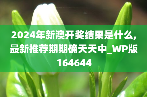 2024年新澳开奖结果是什么,最新推荐期期确天天中_WP版164644