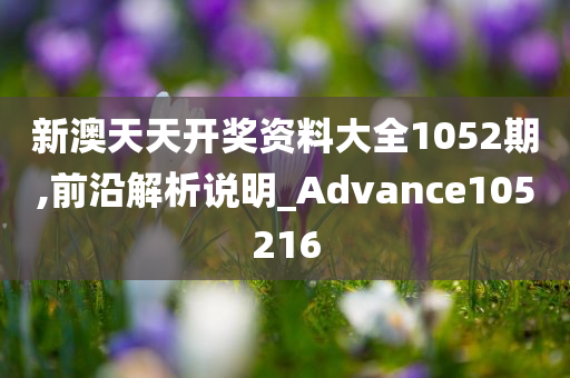 新澳天天开奖资料大全1052期,前沿解析说明_Advance105216