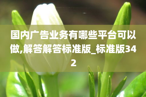 国内广告业务有哪些平台可以做,解答解答标准版_标准版342