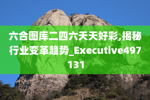 六合图库二四六天天好彩,揭秘行业变革趋势_Executive497131