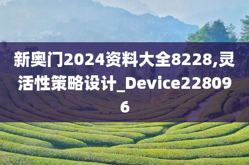 新奥门2024资料大全8228,灵活性策略设计_Device228096