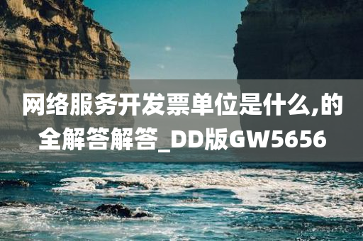 网络服务开发票单位是什么,的全解答解答_DD版GW5656