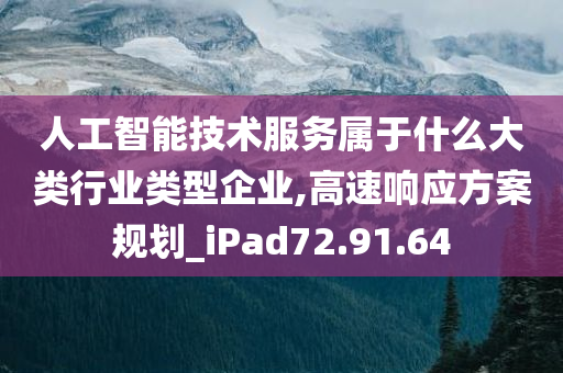 人工智能技术服务属于什么大类行业类型企业,高速响应方案规划_iPad72.91.64