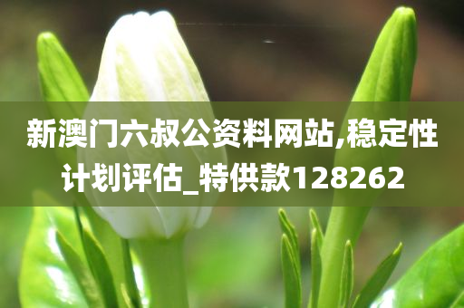 新澳门六叔公资料网站,稳定性计划评估_特供款128262