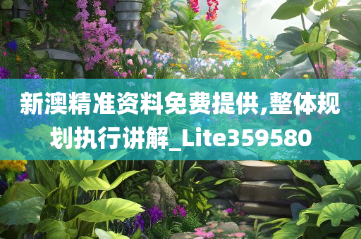 新澳精准资料免费提供,整体规划执行讲解_Lite359580