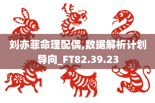 刘亦菲命理配偶,数据解析计划导向_FT82.39.23