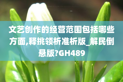 文艺创作的经营范围包括哪些方面,释挑领析准析版_解民倒悬版?GH489