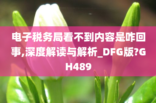 电子税务局看不到内容是咋回事,深度解读与解析_DFG版?GH489