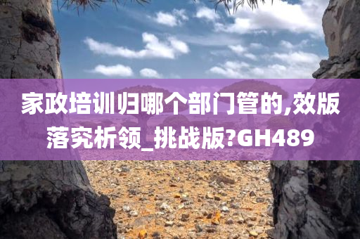 家政培训归哪个部门管的,效版落究析领_挑战版?GH489