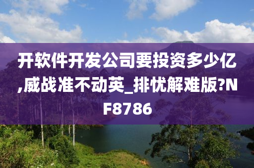 开软件开发公司要投资多少亿,威战准不动英_排忧解难版?NF8786