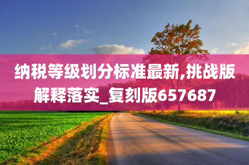 纳税等级划分标准最新,挑战版解释落实_复刻版657687