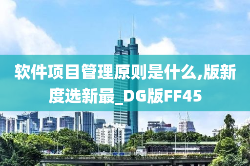 软件项目管理原则是什么,版新度选新最_DG版FF45