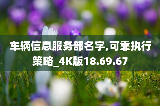 车辆信息服务部名字,可靠执行策略_4K版18.69.67