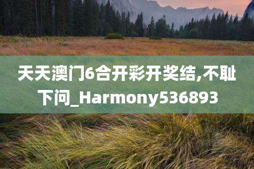 天天澳门6合开彩开奖结,不耻下问_Harmony536893