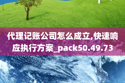 代理记账公司怎么成立,快速响应执行方案_pack50.49.73