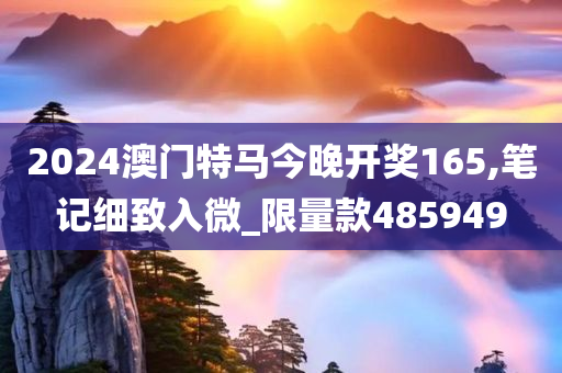 2024澳门特马今晚开奖165,笔记细致入微_限量款485949