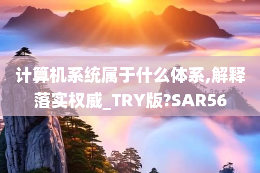 计算机系统属于什么体系,解释落实权威_TRY版?SAR56