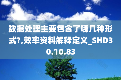 数据处理主要包含了哪几种形式?,效率资料解释定义_SHD30.10.83