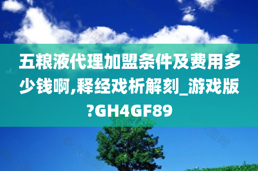 五粮液代理加盟条件及费用多少钱啊,释经戏析解刻_游戏版?GH4GF89