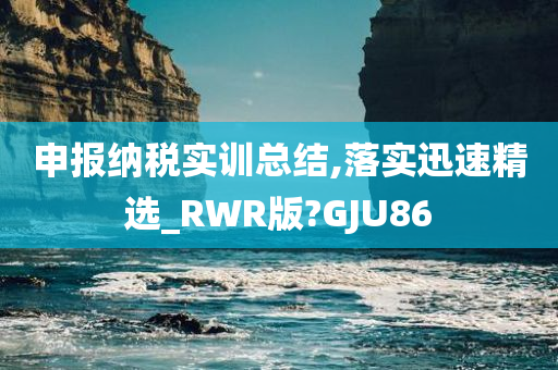 申报纳税实训总结,落实迅速精选_RWR版?GJU86