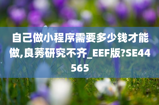 自己做小程序需要多少钱才能做,良莠研究不齐_EEF版?SE44565