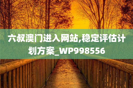 六叔澳门进入网站,稳定评估计划方案_WP998556