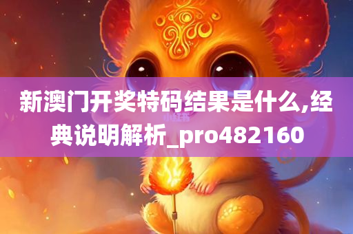 新澳门开奖特码结果是什么,经典说明解析_pro482160