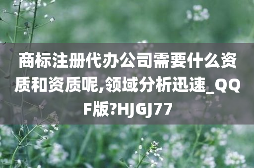 商标注册代办公司需要什么资质和资质呢,领域分析迅速_QQF版?HJGJ77