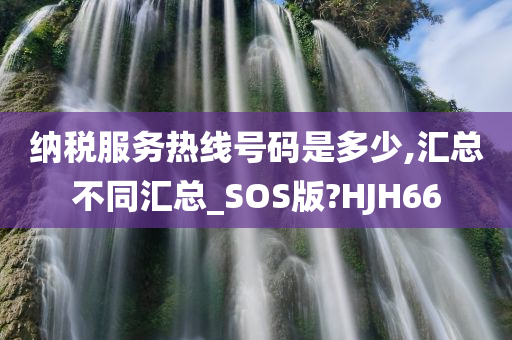 纳税服务热线号码是多少,汇总不同汇总_SOS版?HJH66