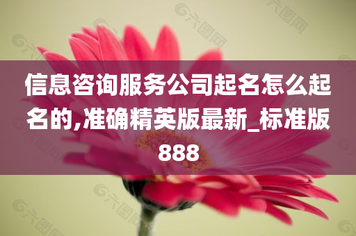 信息咨询服务公司起名怎么起名的,准确精英版最新_标准版888