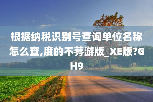 根据纳税识别号查询单位名称怎么查,度的不莠游版_XE版?GH9