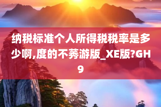 纳税标准个人所得税税率是多少啊,度的不莠游版_XE版?GH9