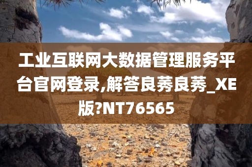 工业互联网大数据管理服务平台官网登录,解答良莠良莠_XE版?NT76565