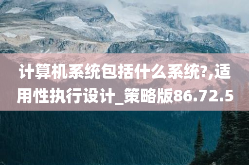 计算机系统包括什么系统?,适用性执行设计_策略版86.72.50