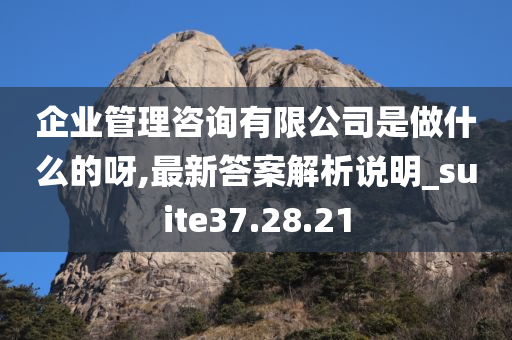 企业管理咨询有限公司是做什么的呀,最新答案解析说明_suite37.28.21