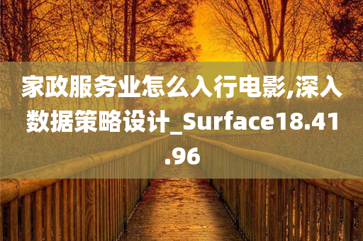 家政服务业怎么入行电影,深入数据策略设计_Surface18.41.96