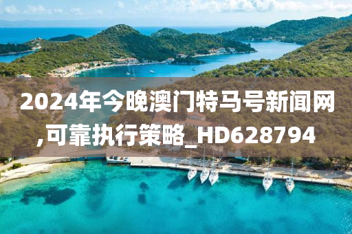 2024年今晚澳门特马号新闻网,可靠执行策略_HD628794