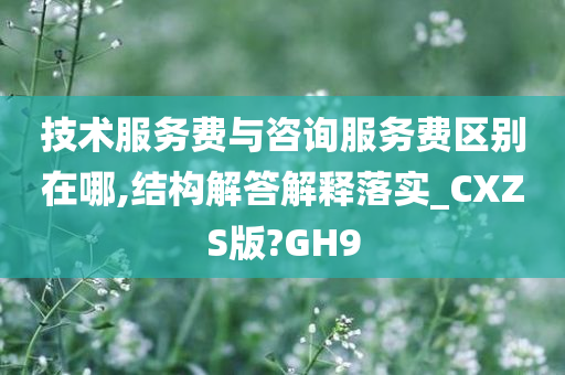 技术服务费与咨询服务费区别在哪,结构解答解释落实_CXZS版?GH9