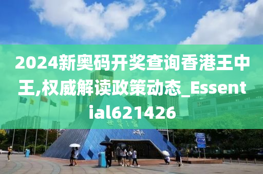 2024新奥码开奖查询香港王中王,权威解读政策动态_Essential621426