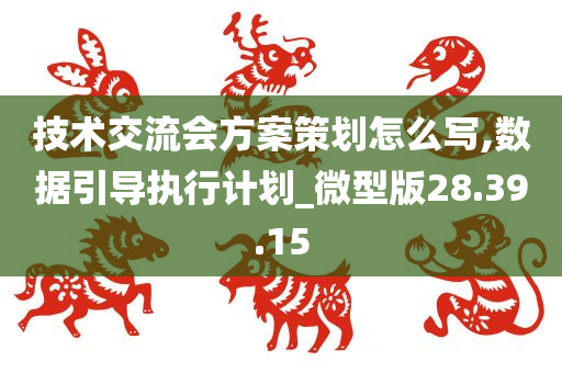 技术交流会方案策划怎么写,数据引导执行计划_微型版28.39.15